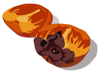 illustration of a squirrel