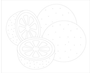 illustration of an orange