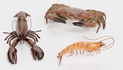 Realistic 3D Render of Crustacean (Edible)