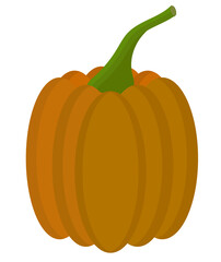 pumpkin isolated on white