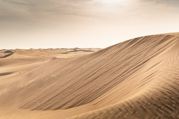 Fototapeta na wymiar Tour durch die Wüste in der Nähe von Dubai