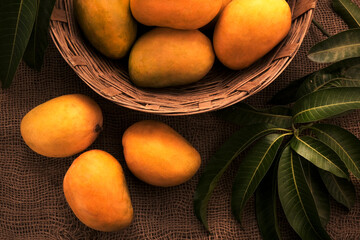 Naklejka na ściany i meble Mango fruits in wooden basket with leaf after harvest from farm, Mango fruits with leaf on Jute background.