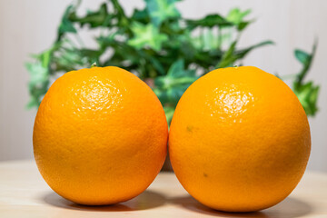 柑橘系のオレンジ