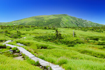 越後　平ヶ岳山頂への道　池ノ岳の木道 © RITSU MIYAMOTO