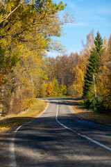 Fototapeta premium The road in the autumn forest.