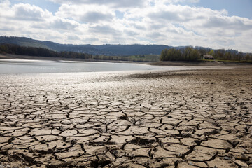 Closeup shot of cracks in the dry soil next to a drained pond