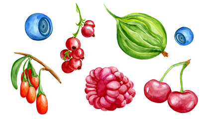 a set of summer berries painted in watercolor. Berries isolated on a white background in high quality