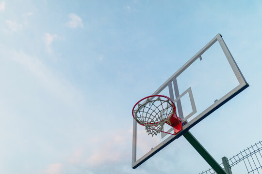 basketball hoop on the background of the forest in the evening