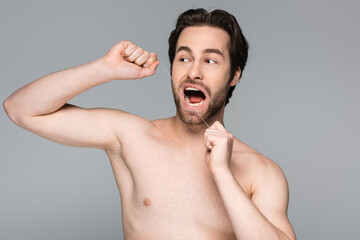 shirtless and bearded man flossing teeth isolated on grey.