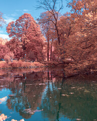 infrared reflection of trees in the lake