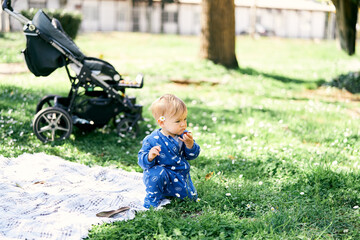 Small child in a blue overalls and a daisy behind the ear sits on a blanket on the lawn and gnaws an apple against the background of a baby carriage and a tree