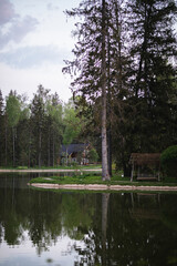 lake and forest in the evening