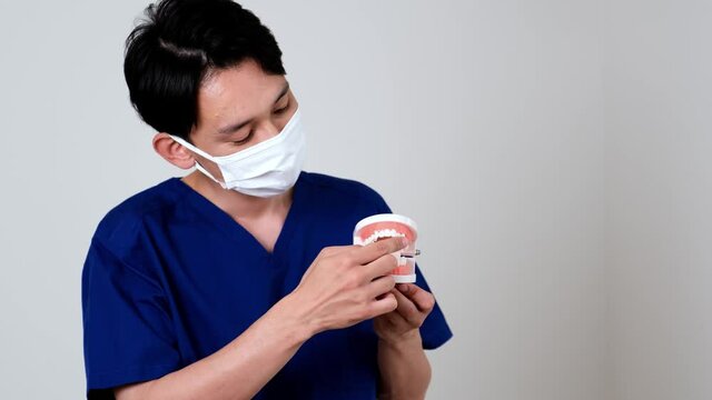 歯の模型を使って説明する歯科医師