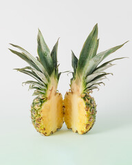 Natural tropical summer fruit arrangement made of ripe, halved, juicy pineapple with long, narrow, fleshy leaves on gradient pastel green white background. Organic, raw, healthy, food minimal concept.