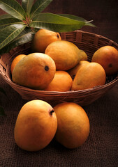 Mango fruits in wooden basket with leaf after harvest from farm, Mango fruits with leaf on Jute background.