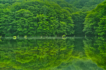 裏磐梯高原の景色（福島県）
