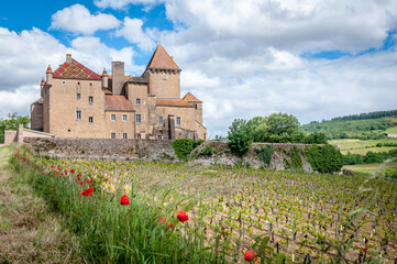 Fototapeta na wymiar Vues du château de Pierreclos en Bourgogne