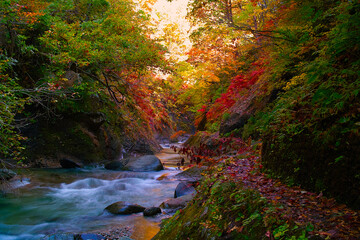 秋の渓谷（山形県紅葉川）
