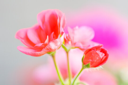 594 Best 決心 Images Stock Photos Vectors Adobe Stock