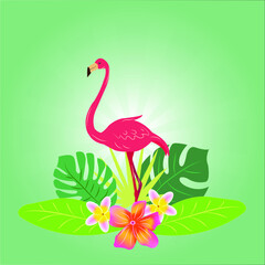 Flamingo. Tropics. tropical leaves and flowers. Bird. Nature.