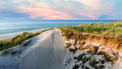 Dune avec herbe de plage au premier plan. L& 39 île de Sylt.