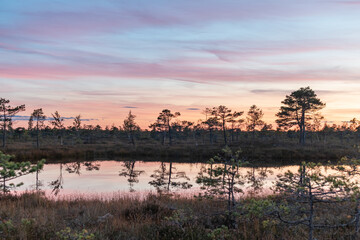 The Great Kemeri bog in the Kemeri National Park near Jurmala, Latvia during beautiful and colorful...