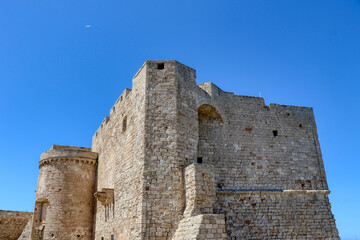 Naklejka premium The Carlo V castle in Monopoli, Puglia, Italy