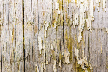 Old wooden wall with cracked paint, close up view