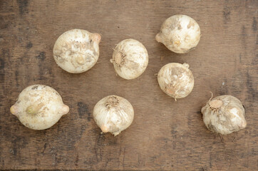 the white brown garlic on the wooden over out of focus brown background.