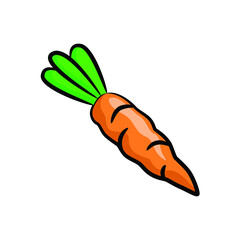Carrot in drawing style isolated vector. Hand drawn object illustration for your presentation, teaching materials or others.