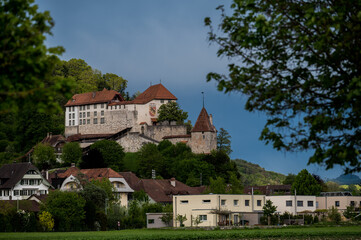 Fototapeta na wymiar Schloss Laupen