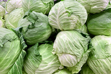 Fototapeta na wymiar Emerald green fresh cabbage. Vegetable background.