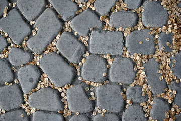 Stone-paved path close-up in the evening with tree seeds