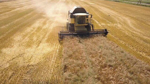 Aerial view of combine harvester harvesting large ripe wheat field. Agriculture from drone view.