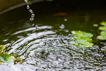 Air bubbles on the water surface in the fish pond from filling with clean water. Rinse the water in the fish pond after cleaning and add new water. Ideas for maintaining and cleaning fish pond water.