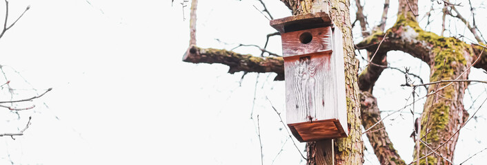 Birdhouse on the tree in early spring or autumn, birds and nature.