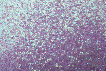 Beautiful shiny lilac glitter as background, closeup