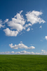 Fototapeta na wymiar 緑の草原と青空