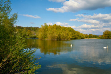 Naturschutzgebiet Altmain und Sandmagerrasen bei Limbach, Landkreis Hassberge, Unterfranken, Franken, Bayern, Deutschland