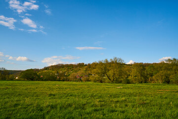 Naturschutzgebiet Altmain und Sandmagerrasen bei Limbach, Landkreis Hassberge, Unterfranken, Franken, Bayern, Deutschland