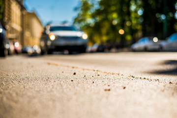 Clear day in the big city, a car rides through the streets near the park. View from the level of asphalt