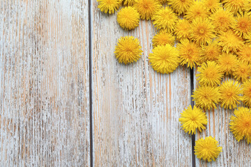 Beautiful yellow dandelions on light wooden table, flat lay. Space for text