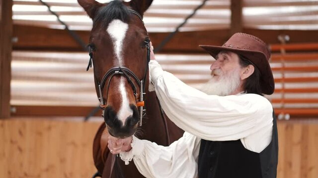 A close-up of senior couple petting a horse in a stable