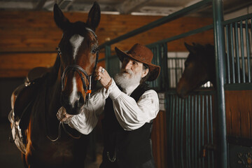 Fototapeta premium A senior man standing close to a horse outdoors in nature