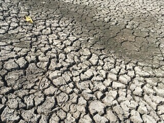 dry crack soil in country Thailand