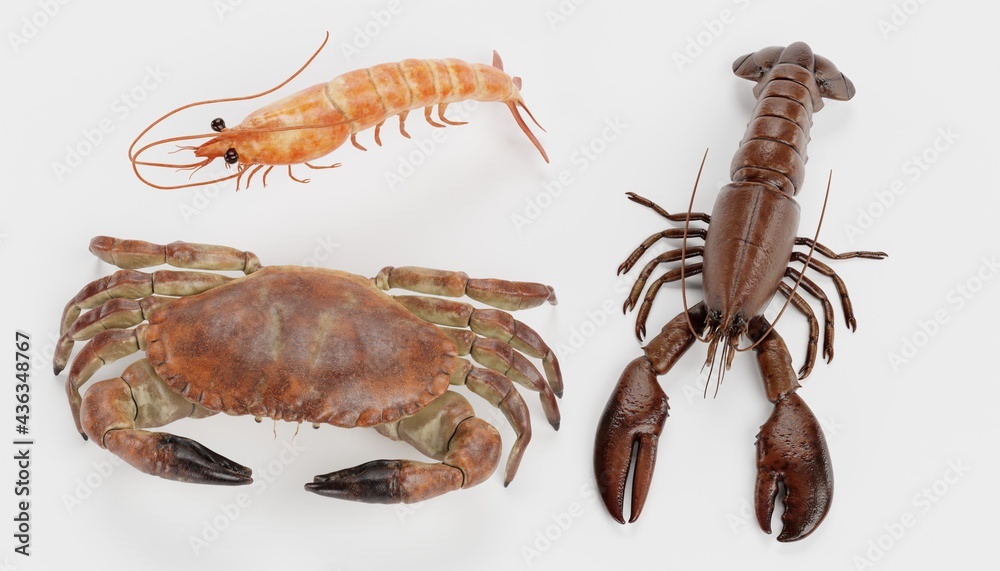 Poster Realistic 3D Render of Crustacean (Edible)