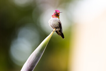 humb20 © Marcin
