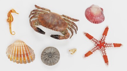 Realistic 3D Render of Sea Animals