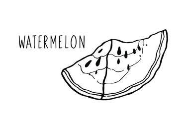 Watermelon. Fruit illustration for farm market menu, recipe, summer menu, invitations, posters, stickers and seasonal design. Vector illustration on a white background.