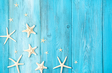 Starfish on a light blue background with space to copy.